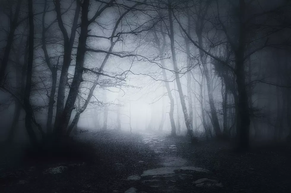 The Haunted Shack Seeking Volunteers