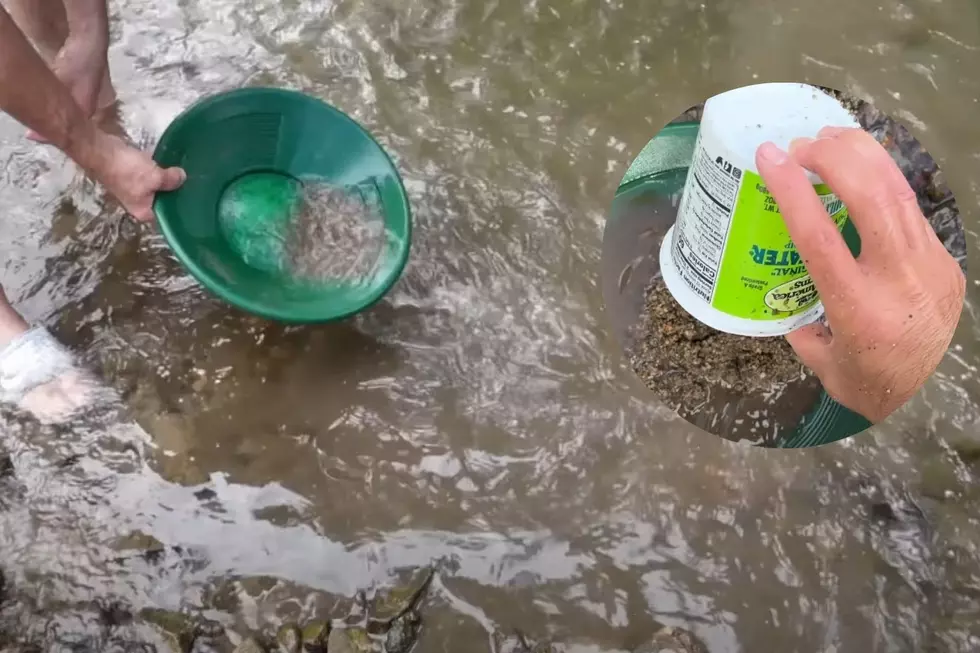 Minnesota’s Hidden Gold Panning Adventures Await You