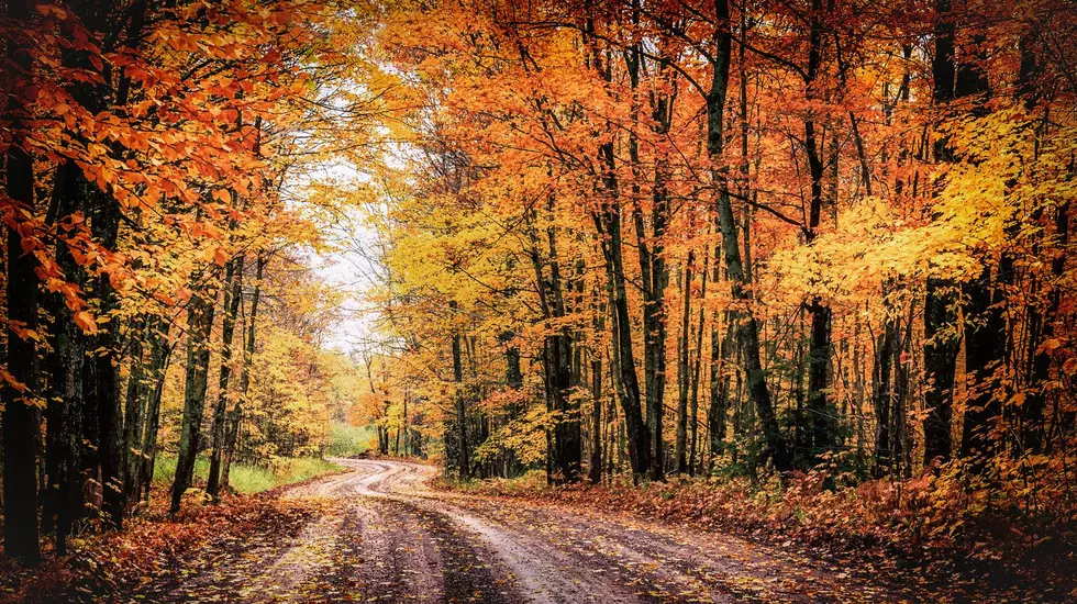 Experts Say Climate Change Has Moved Minnesota’s Fall Colors Two Weeks